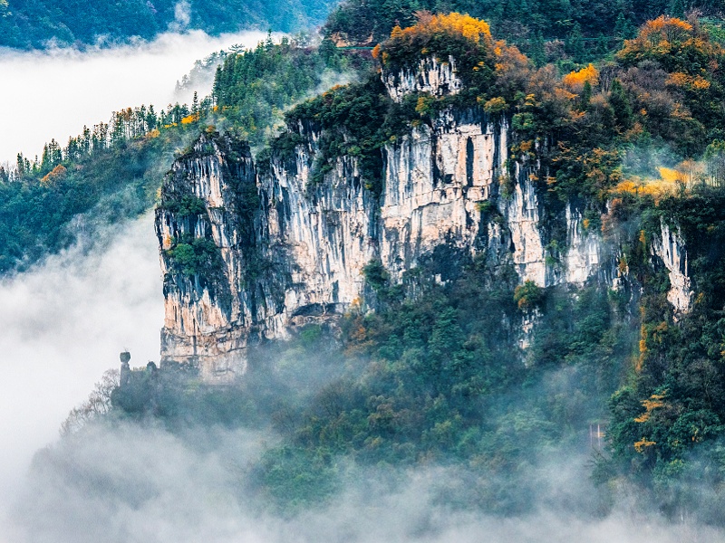 9c2006d12724fd838683715100fc1db_副本