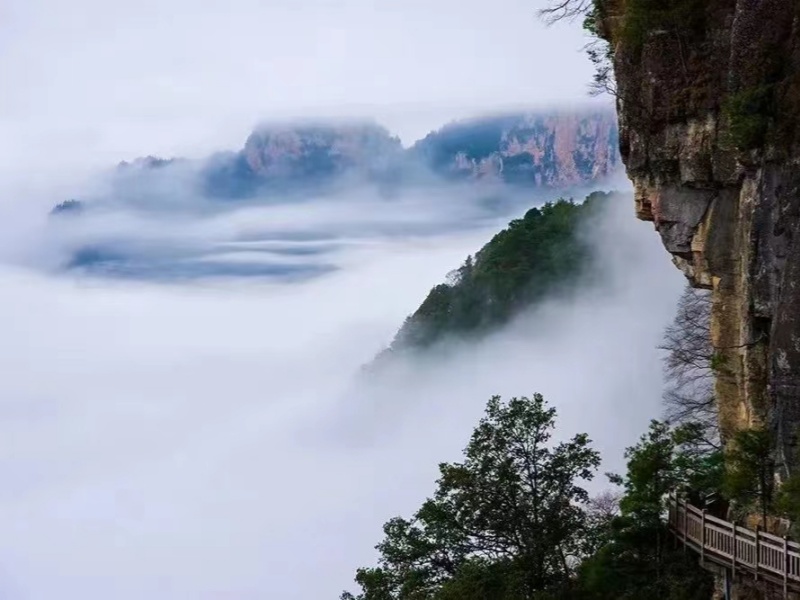 微信圖片_20230522090252_副本