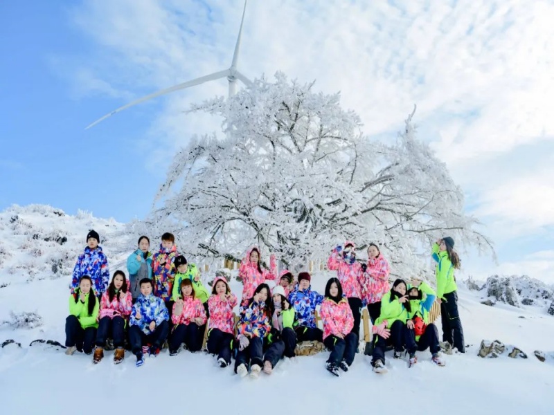 百里荒山楂樹合影