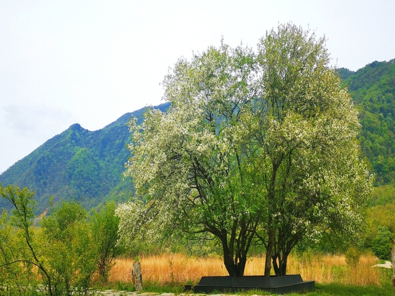 微信圖片_20220524165803_副本