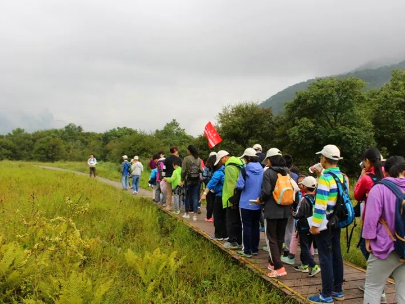 神農(nóng)架大九湖
