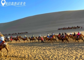 宜昌到西北甘青環(huán)線的團(tuán)推薦/宜昌到甘青環(huán)線報(bào)價【駝鈴悠悠話甘青】帶黑獨(dú)山8日游