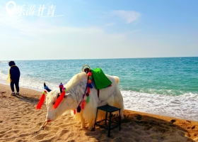 宜昌到西北甘青只需花費(fèi)幾百塊/特價優(yōu)惠/有哪些景點(diǎn)【樂游甘青】青海+甘肅大環(huán)線雙飛8日游