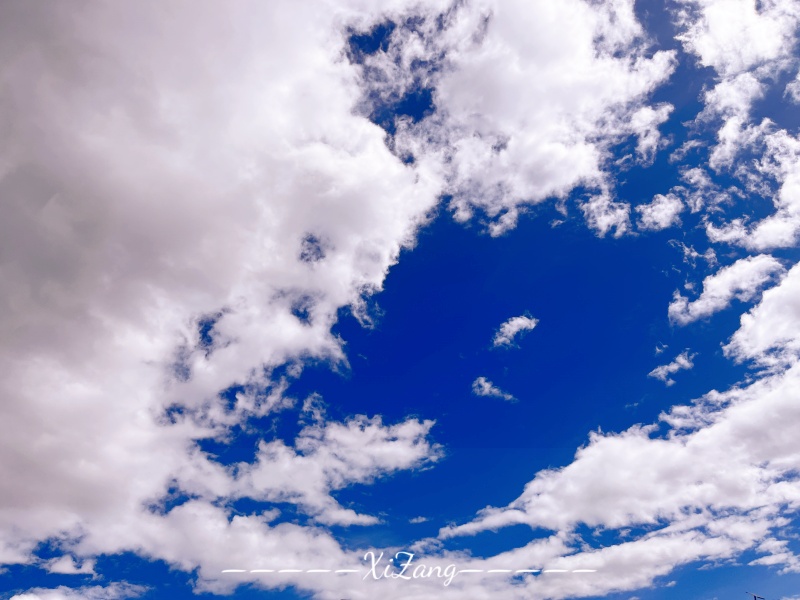 微信圖片_20250321164858_副本