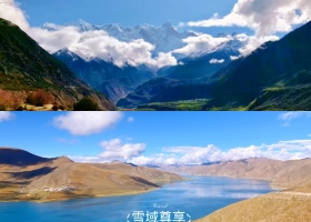 宜昌到西藏桃花季出游行程攻略/跟團游價格/春日限定【雪域尊享】雙臥11日/單臥9日