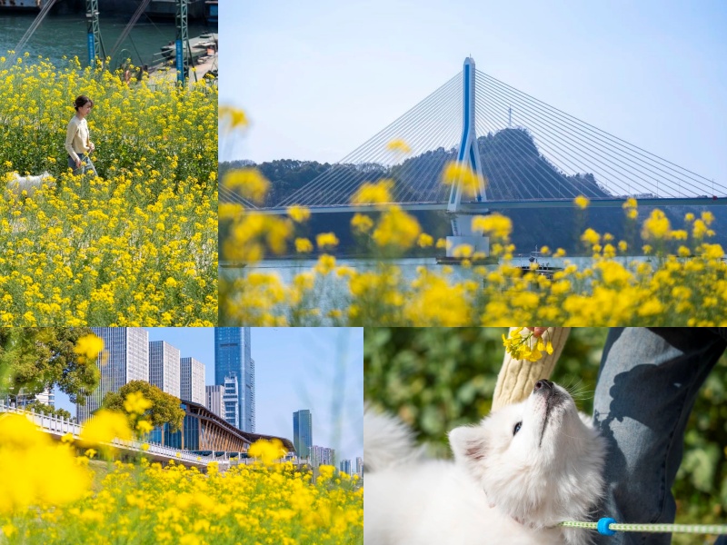 微信圖片_20250327084305_副本