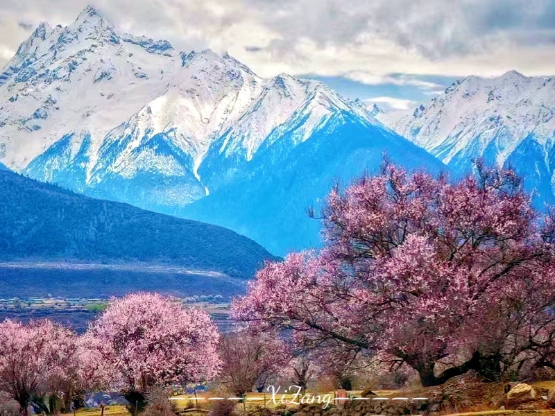 微信圖片_20250321155055_副本