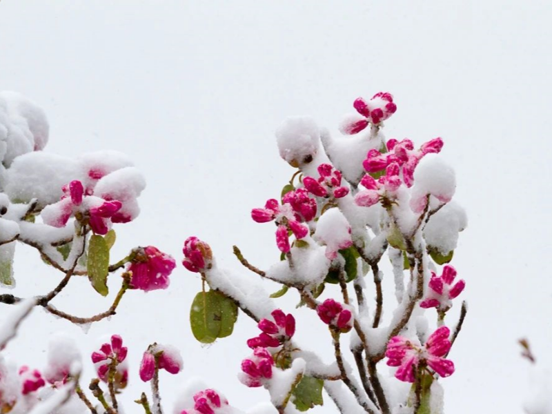 微信圖片_20250328085315_副本