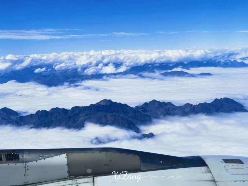 微信圖片_20250321164739_副本