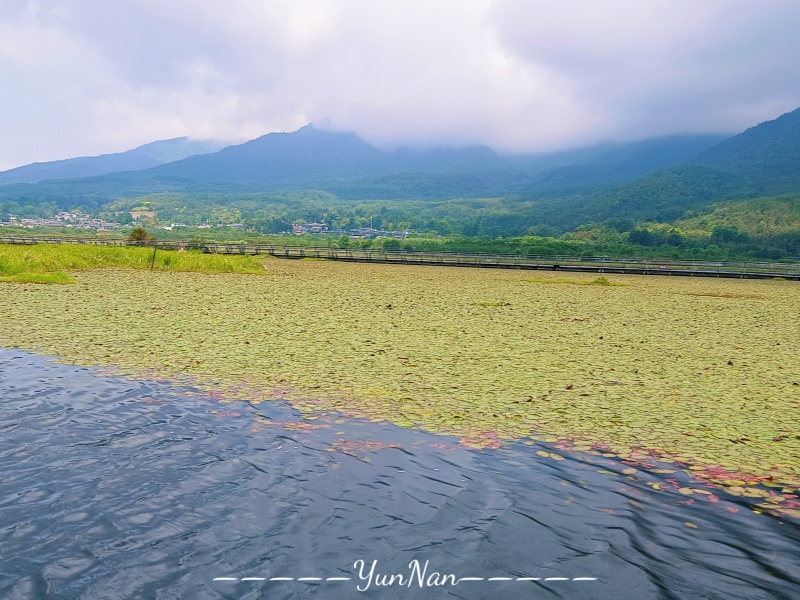 騰沖北海濕地公園_副本