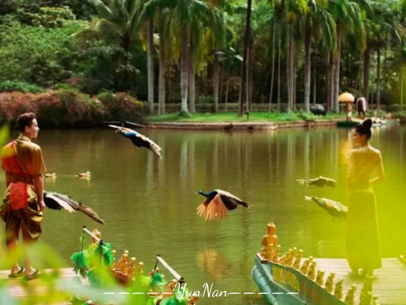 4844d61d8657b10630082d93855c27f_副本