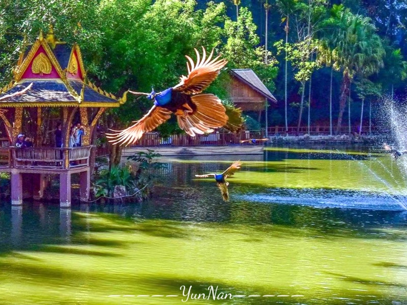 63eaee2eac7094aeb45794a3cdc6679_副本