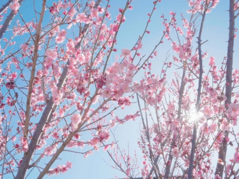 微信圖片_20250402161544