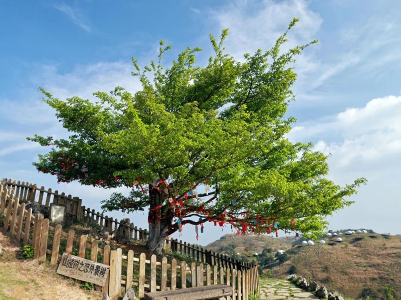 微信圖片_20250402161707