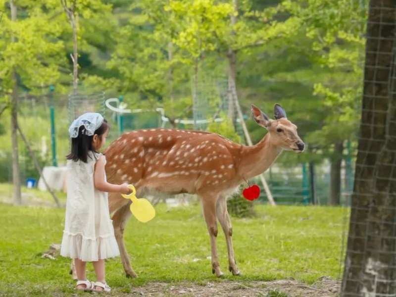 微信圖片_20250402161834