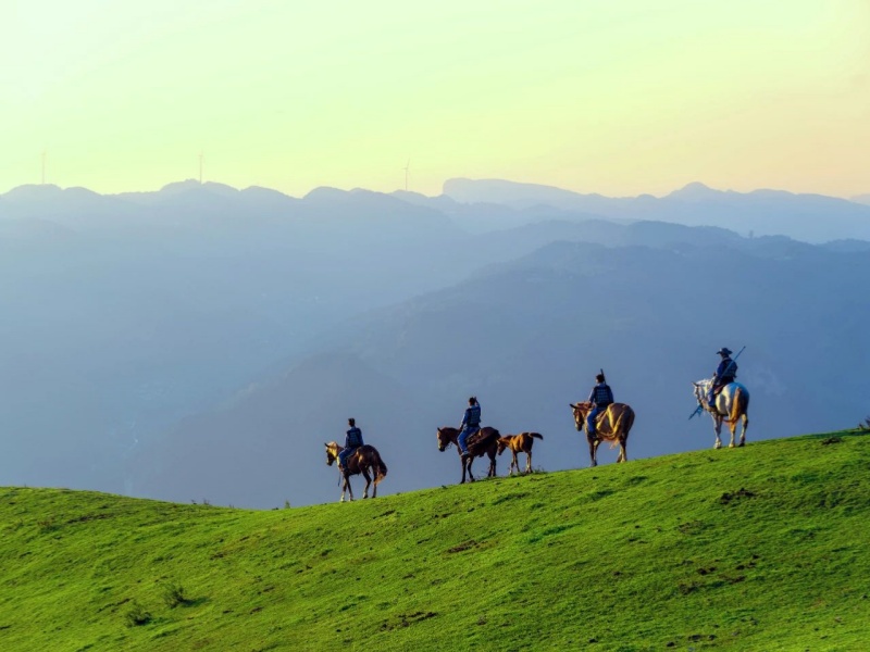 微信圖片_20250402162046