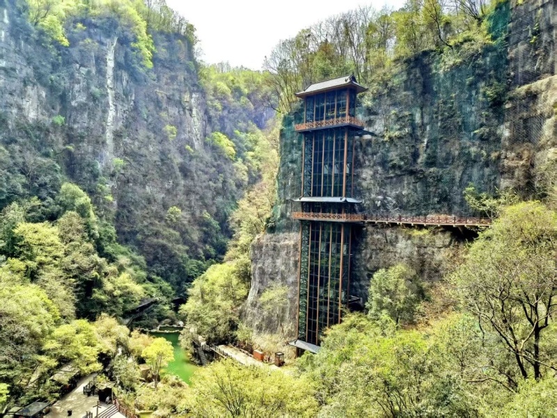 微信圖片_20250404090319_副本