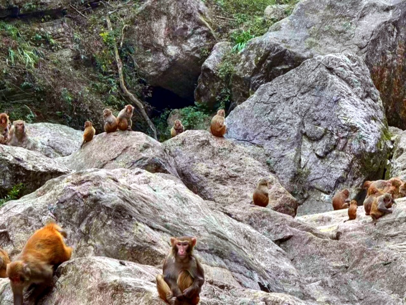 8ddff17301395934c891c6066706bfc_副本