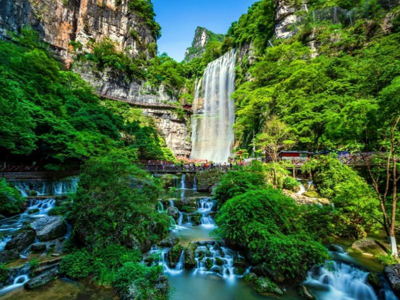 微信圖片_20220725130420_副本