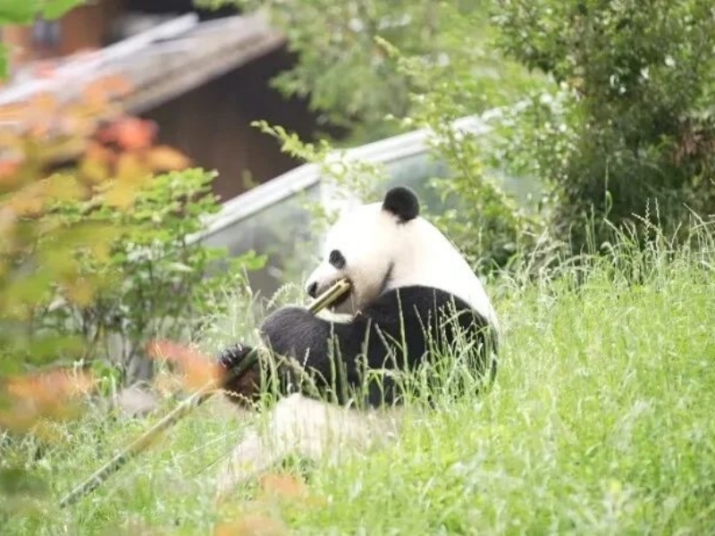 微信圖片_20250427093820_副本