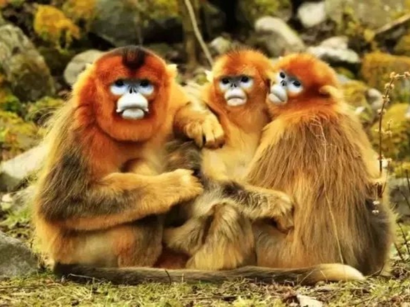 微信圖片_20250427093805_副本