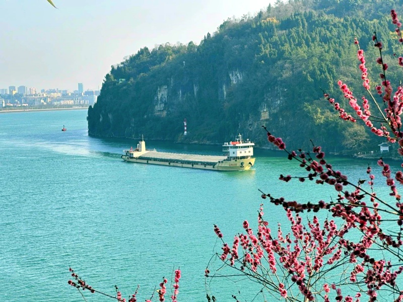 微信圖片_20250328103952_副本