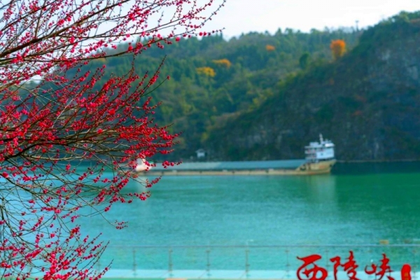 兩壩一峽臻享全域游是船去車回好還是車去船回好？