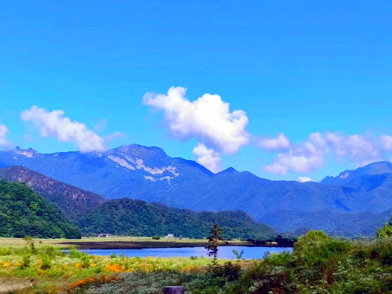 微信圖片_20230810170025_1_副本