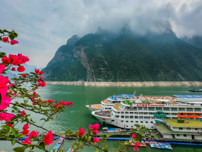 微信圖片_20250510112306_副本(1)