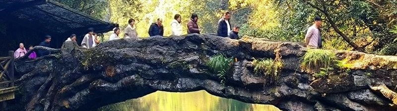 微信圖片_20250512092245_副本