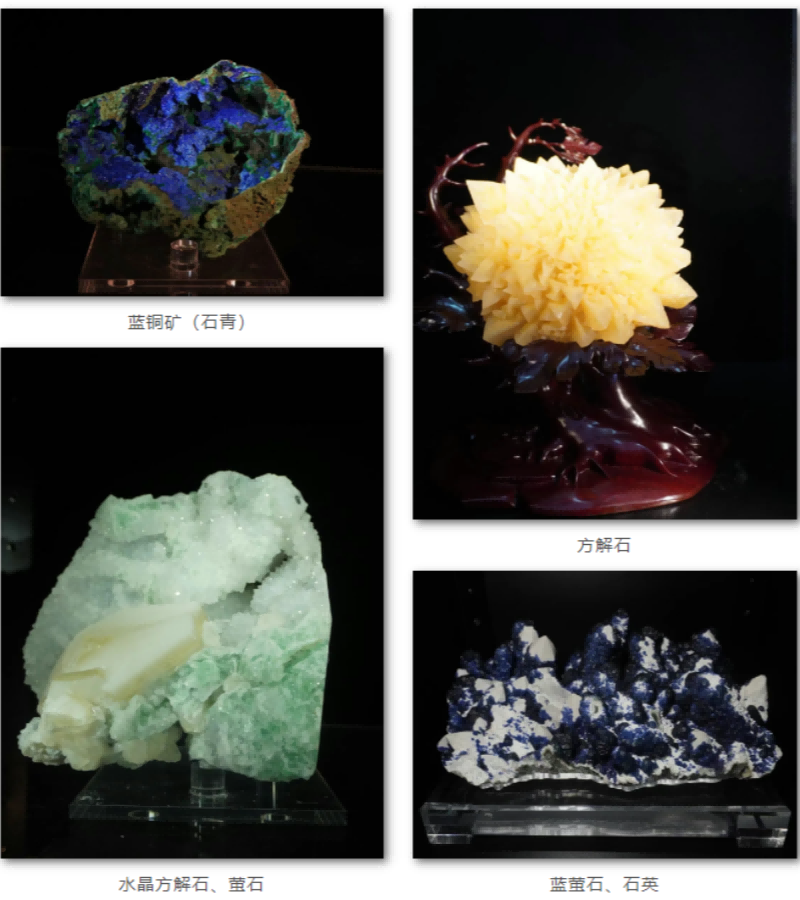 微信圖片_20250512092636_副本(1)