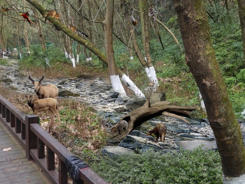 微信圖片_20250512092741_副本