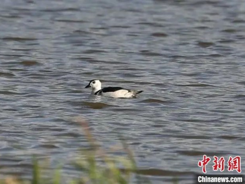 微信圖片_20250514085442_副本