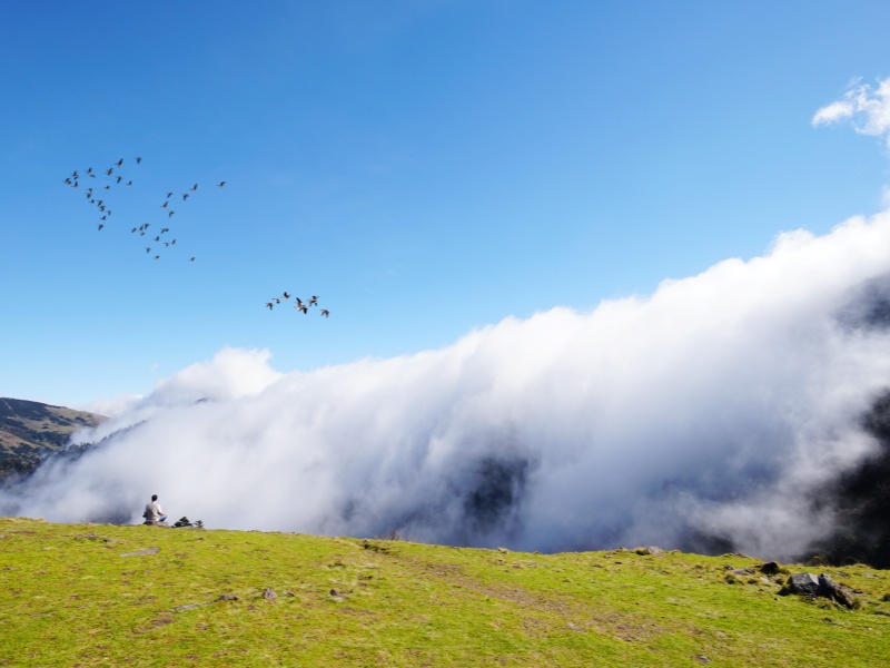 云涌神農頂(調整大圖)_副本
