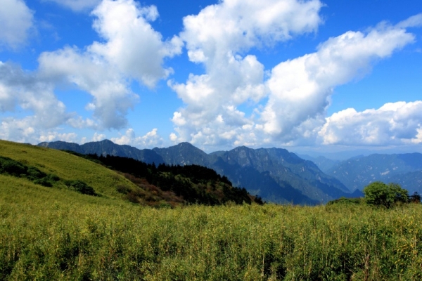 2025神農架二日游跟團路線行程安排