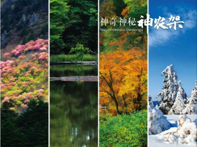 b2ad165abe2d0e8e0f58ed6f9ca7343_副本(1)