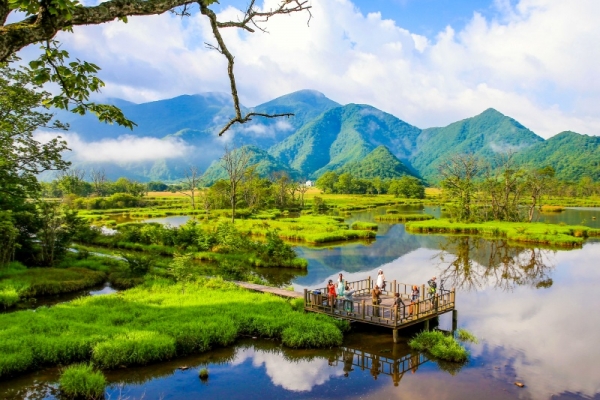 2025神農(nóng)架景區(qū)二日游跟團優(yōu)惠政策