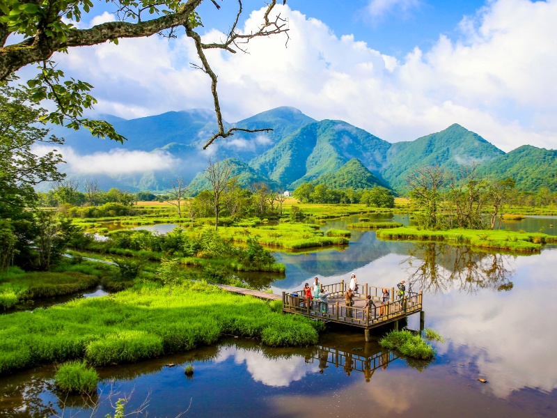 大九湖 (1)_副本