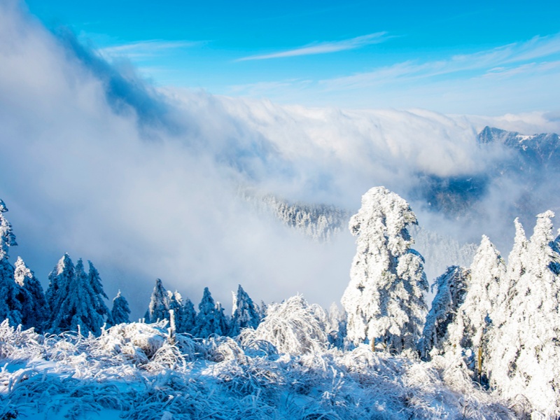 0002顏京利攝_副本