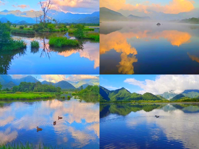 微信圖片_20220728145556_副本