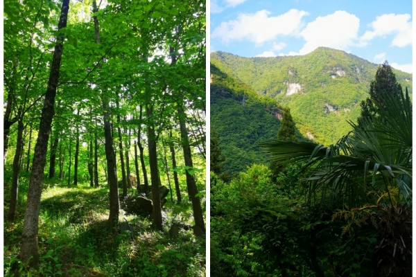 神農架三日游跟團有導游人員嗎？