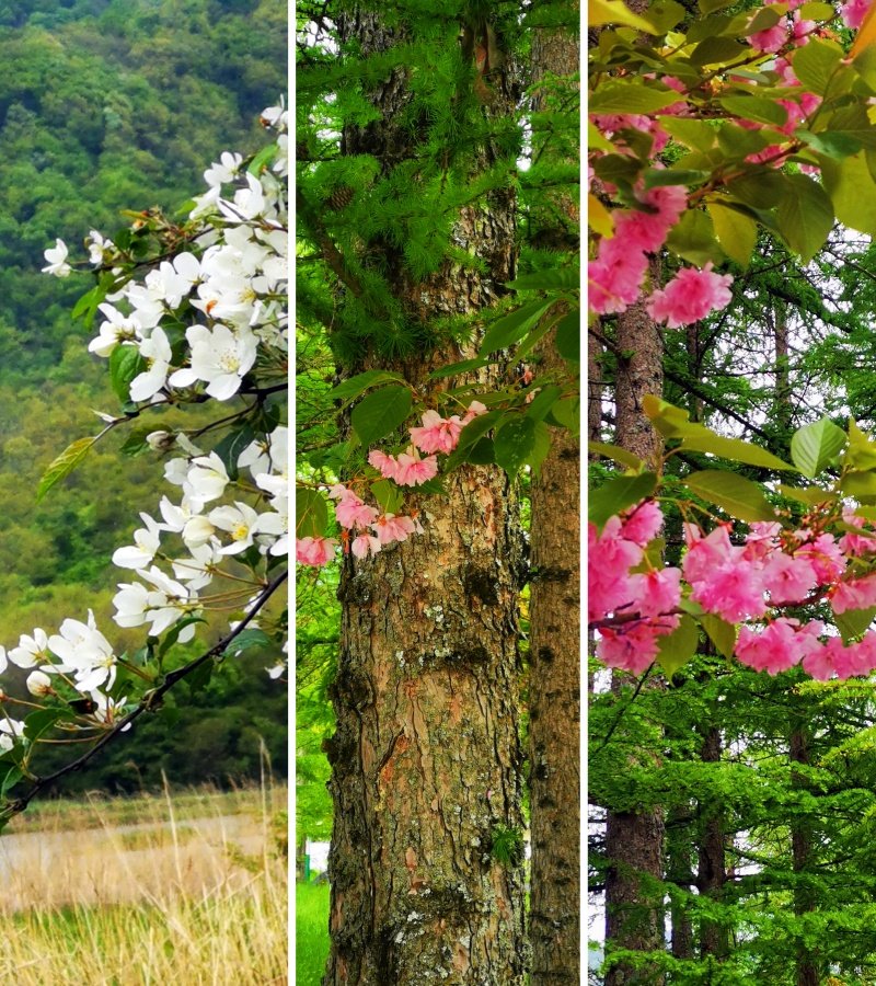 微信圖片_20230427171308_副本