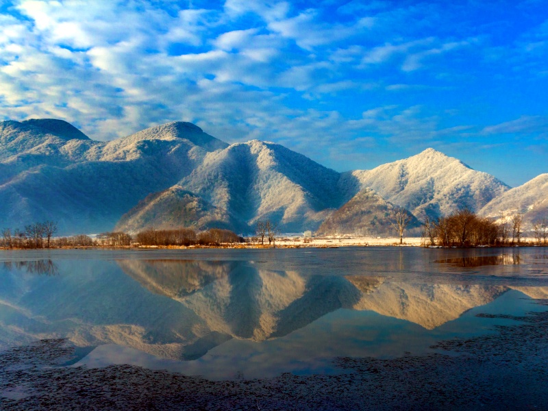 (九湖冬韻)_副本