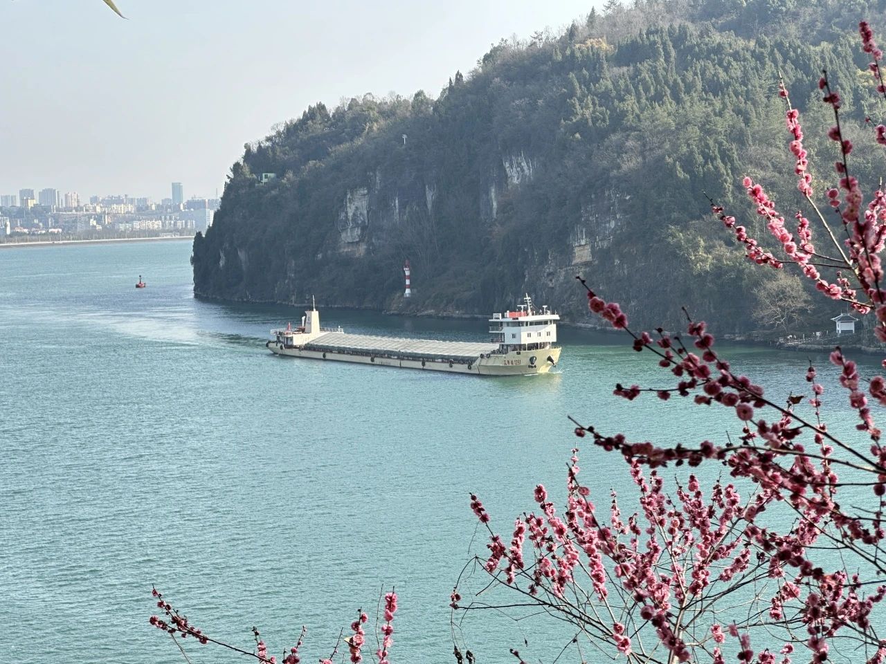 微信圖片_20250328103952