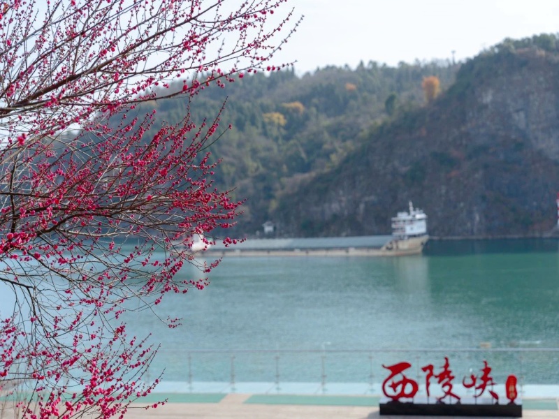 微信圖片_20250328103928_副本