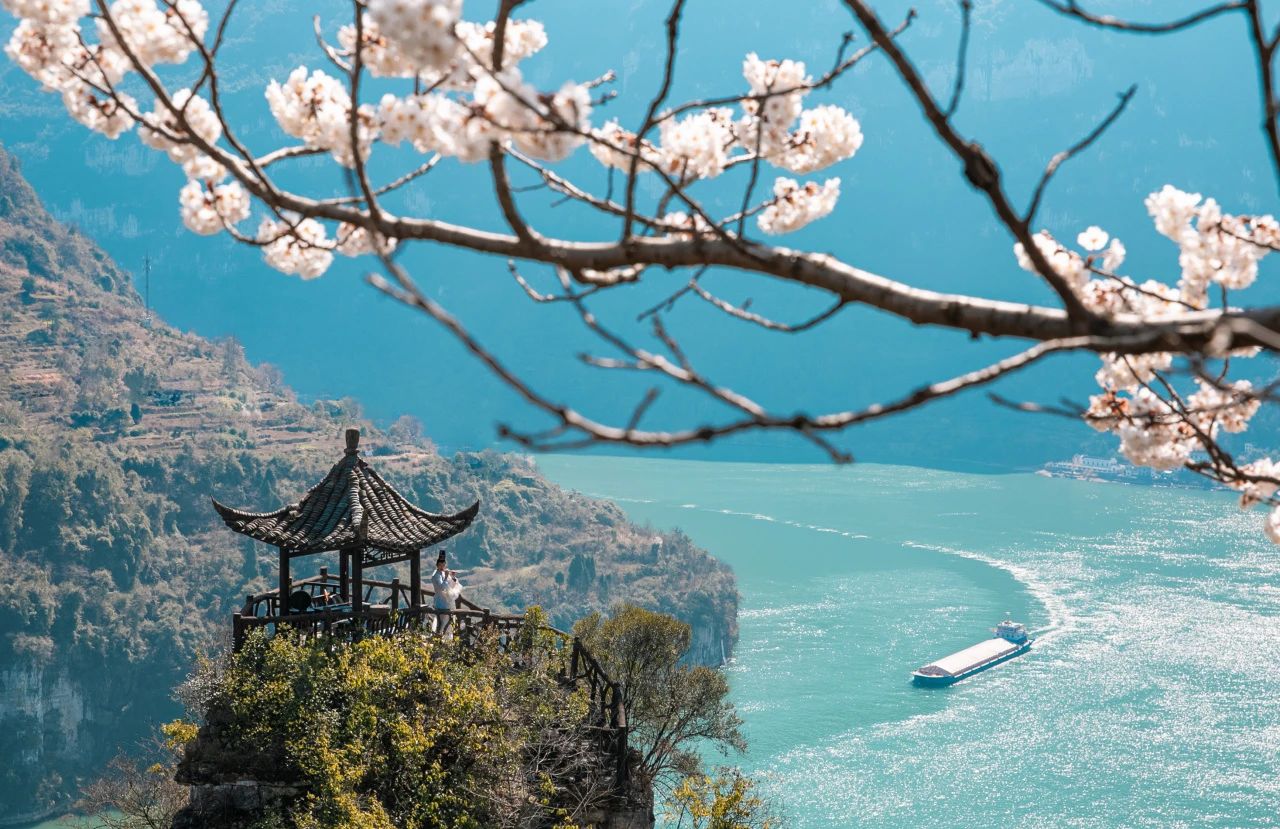 微信圖片_20250526090807