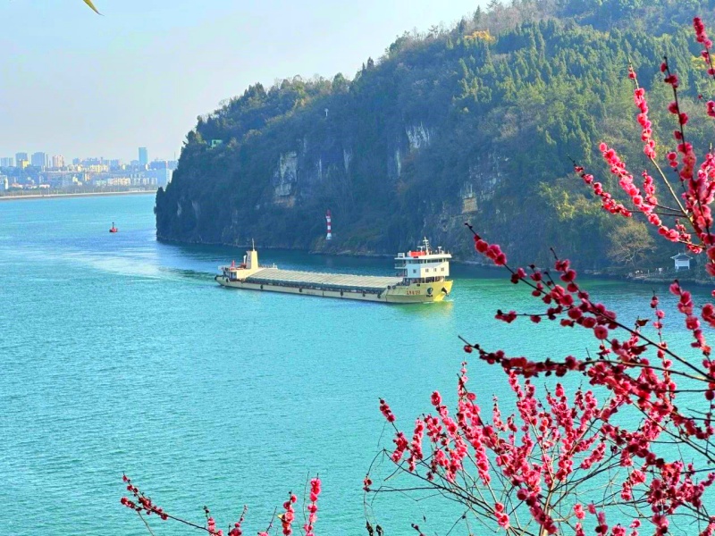 微信圖片_20250328103952_副本