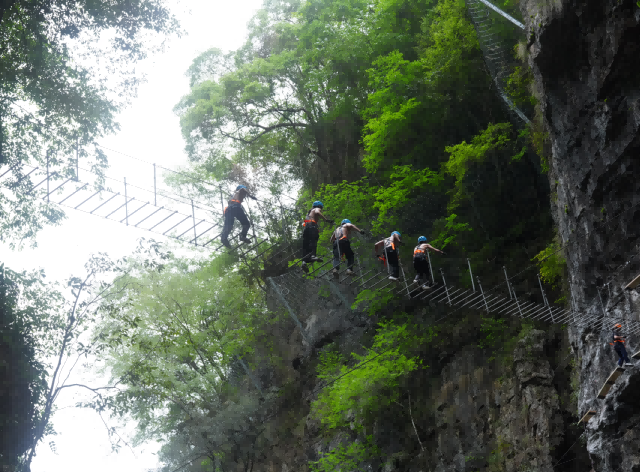 微信圖片_20250606085424(1)