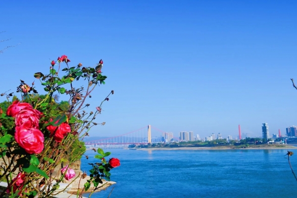 宜昌點軍都有哪些玩的地方？點軍特色文化旅游線路重磅推出！