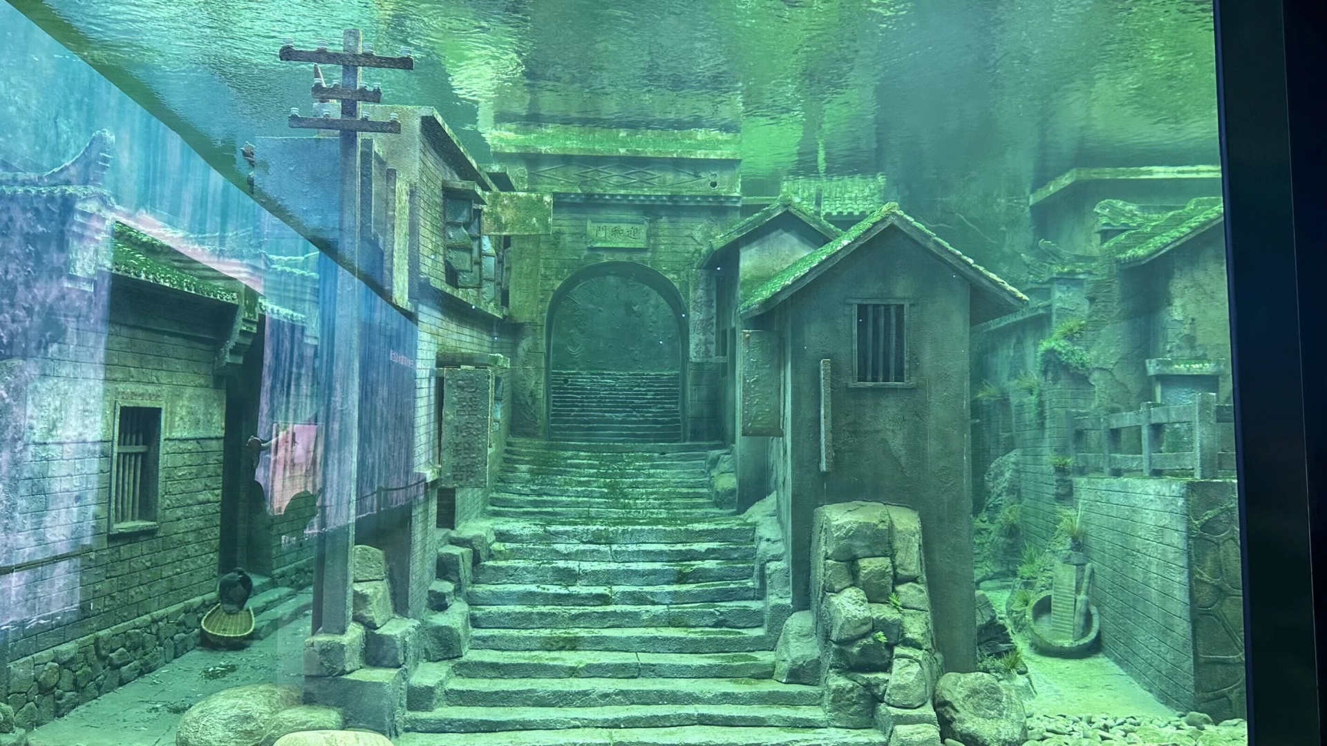 QQ圖片20250609165619